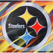TS035 Steelers Colors